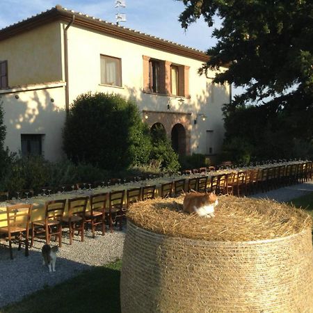 Agriturismo Giuncola & Granaiolo Rispescia Eksteriør billede