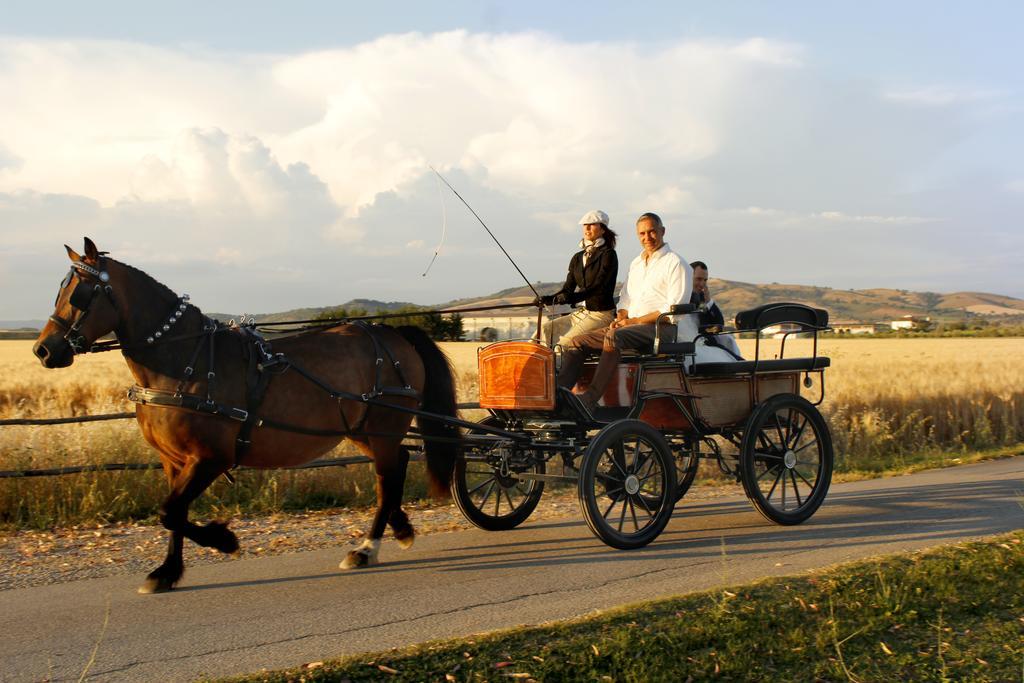 Agriturismo Giuncola & Granaiolo Rispescia Eksteriør billede