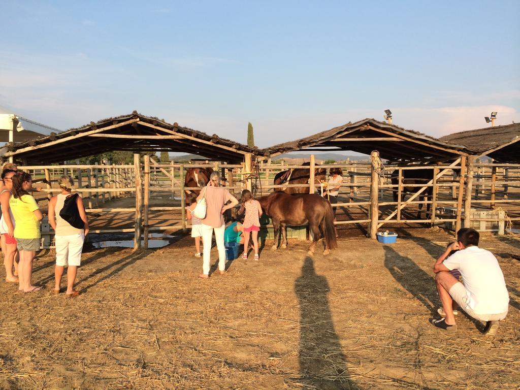 Agriturismo Giuncola & Granaiolo Rispescia Eksteriør billede
