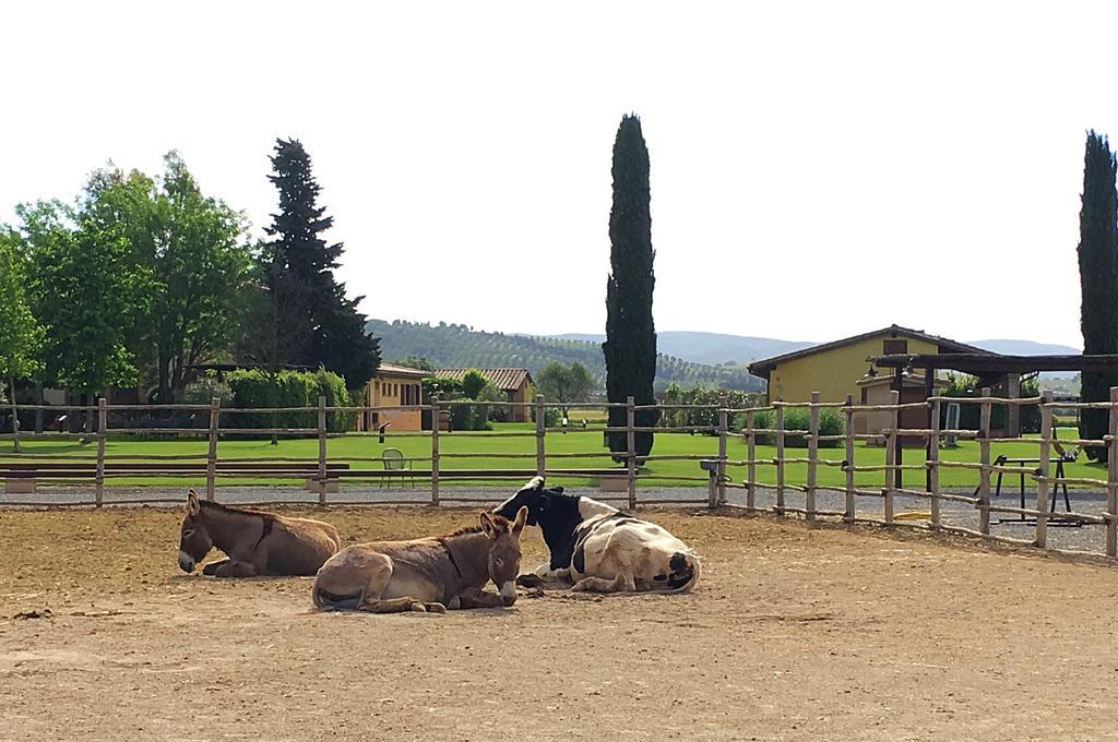Agriturismo Giuncola & Granaiolo Rispescia Eksteriør billede