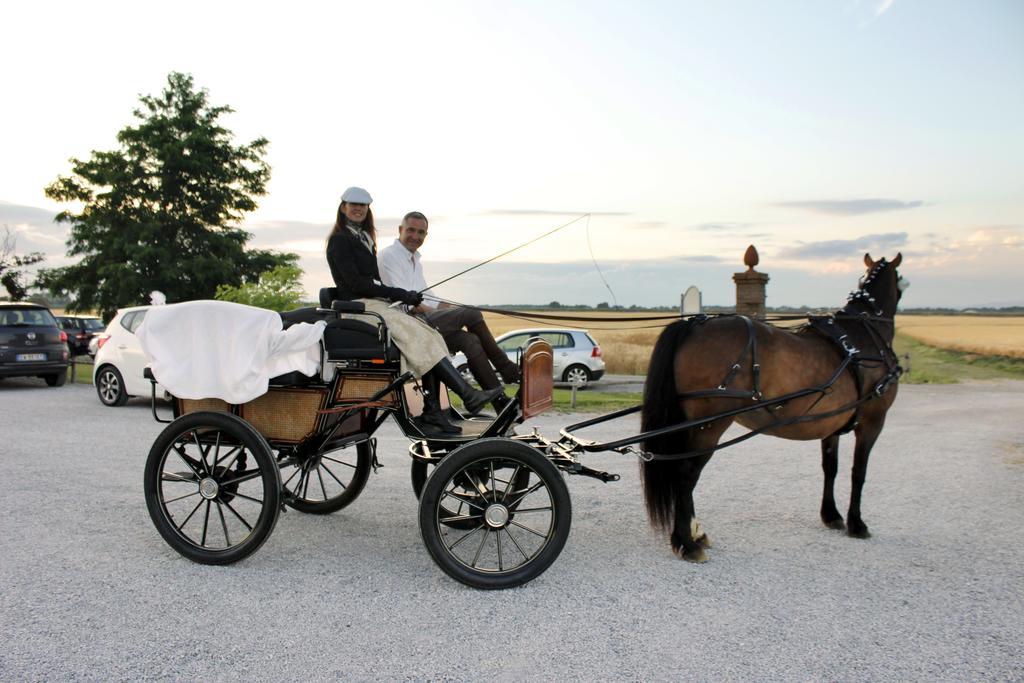 Agriturismo Giuncola & Granaiolo Rispescia Eksteriør billede