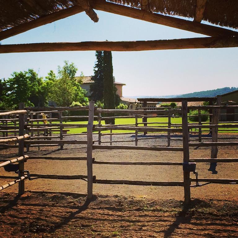 Agriturismo Giuncola & Granaiolo Rispescia Eksteriør billede